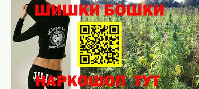 гидропоника Шахты