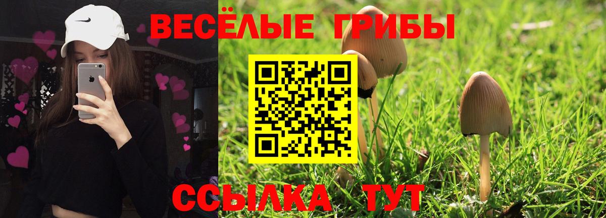 Псилоцибиновые грибы Cubensis Алапаевск